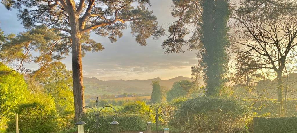 Mountain Suite, Stunning Views, Brecon Beacons Llanhamlach Экстерьер фото